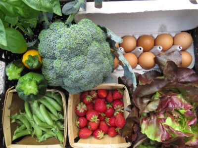 Box of Farm Fresh vegetables, fruit, and eggs.